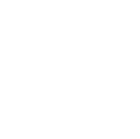 Protected Computer icon